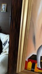 Doberman Strangely Sits on Couch