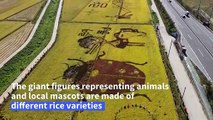 Giant rice crane urges South Koreans to 'Cheer Up!'