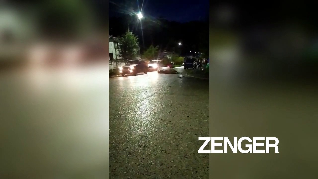 Elephant seal roams through streets in Chilean Patagonia