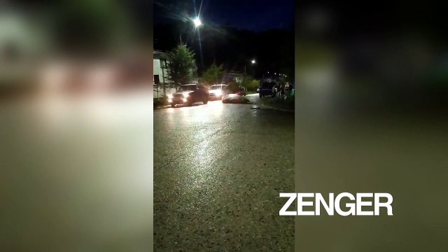 Elephant seal roams through streets in Chilean Patagonia