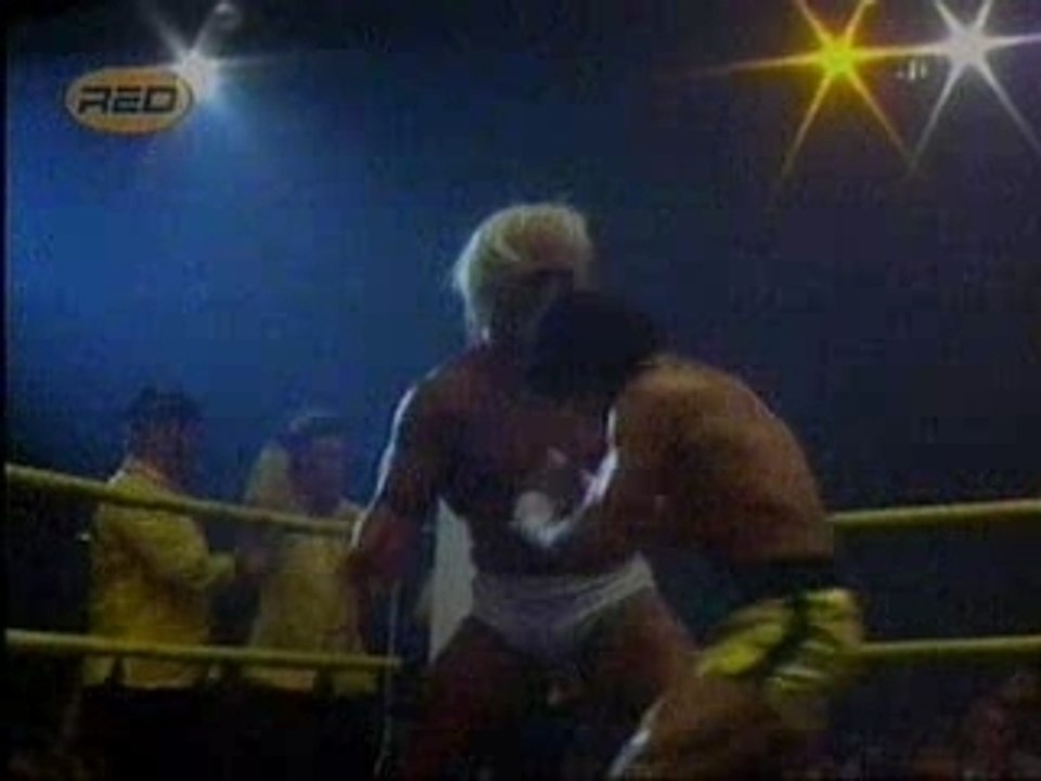 Hogan vs Rocky