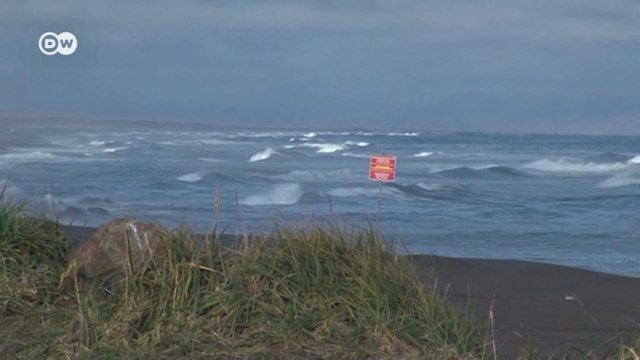 Экологическая катастрофа на Камчатке - какими могут быть последствия? (07.10.2020)