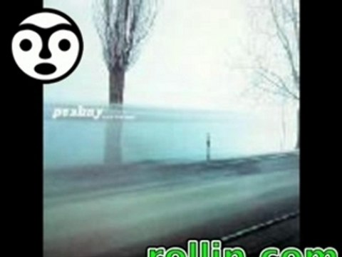 peshay - miles from home ( mo' wax records 1998 )