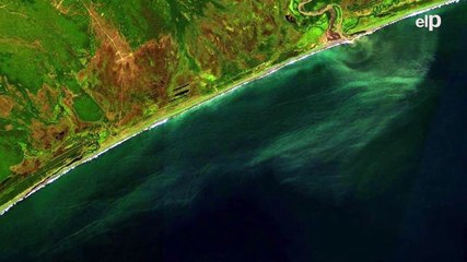 La contaminación del agua ha provocado un desastre medioambiental en las playas de la región rusa de Kamchatka