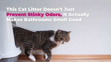 This Cat Litter Doesn't Just Prevent Stinky Odors, It Actually Makes My Bathroom Smell Goo