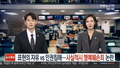 표현의 자유 vs 인권침해…사실적시 명예훼손죄 논란