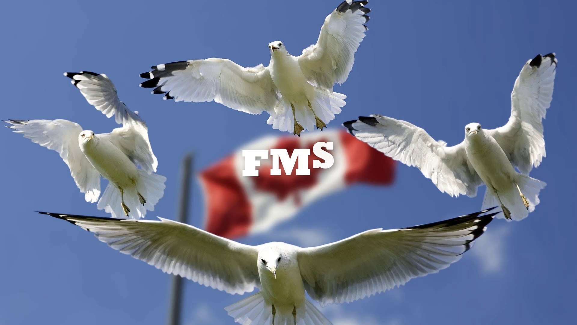 ⁣Vlogging music | no copyright music | Free music | 03