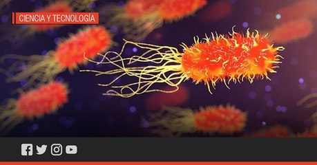 #PorTuSalud: ¿Las bacterias podrían ser la clave para curar el COVID-19?