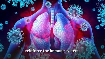 Coconut Milk- A Miracle Food You Can Make At Home