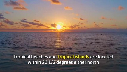 Tropical Beach Vacation Ideas