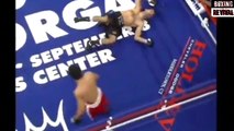 Nonito Donaire vs Vic Darchinyan highlights| Donaire Destroys Darchinyan