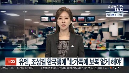 유엔, 조성길 한국행에 "北가족에 보복 없게 해야"