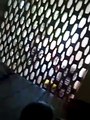 हाथरस: खाकी के दामन पर लगा एक और दाग, दरोगा का रिश्वत लेते वीडियो हुआ वायरल