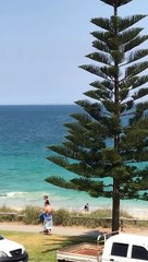 Shark spotting in Australia 2 Anthony S Casey Singapore