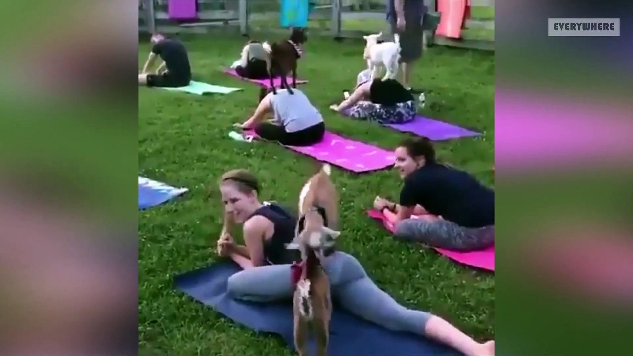 Funniest  videos  compilation   N°  30