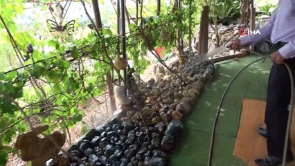 Çiftçinin 'Taş' gibi sıra dışı koleksiyonu