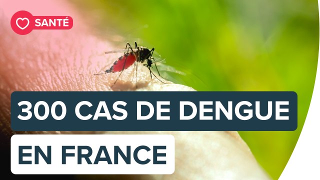 Le virus de la Dengue | Futura