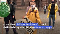 Greta Thunberg attends Stockholm climate strike