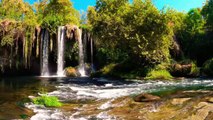 Relaxing Waterfall Sounds for Sleep | Fall Asleep & Stay Sleeping with Water White Noise | 1 Hours