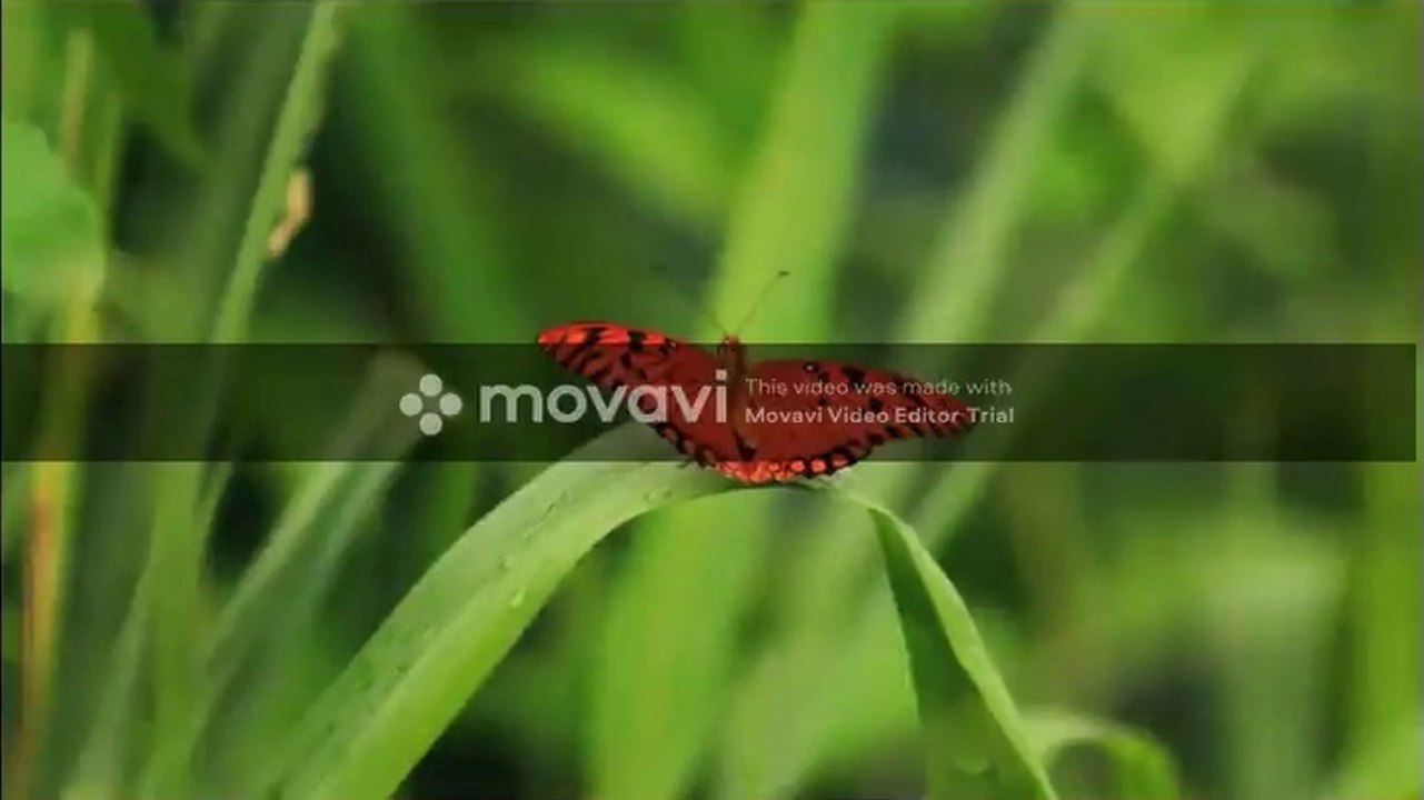 Top Romantic Music 2020 | Top Pop Joy Music Lyrics 2020