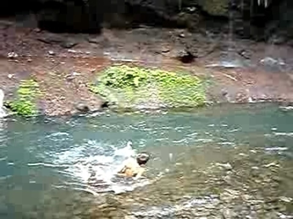 Film saut de la lezarde