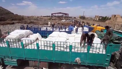 Programa Mundial de Alimentos vence Nobel da Paz