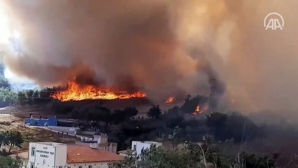 Hatay'da orman yangını