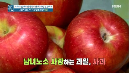 남녀노소 즐겨먹는 사과가 위 건강 지킴이!?