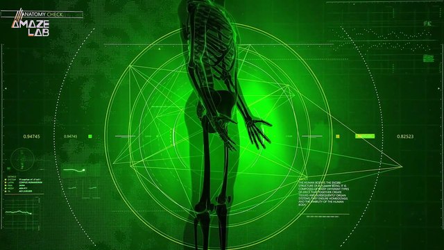 Extra Artery Found in Human Arms Shows We're Definitely Still Evolving