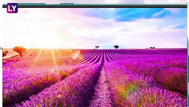 Samsung Galaxy F41 Launch: ৬ হাজার মেগাহার্ৎজ ব্যাটারির স্মার্টফোন, দেখুন ফিচার্স এবং দাম