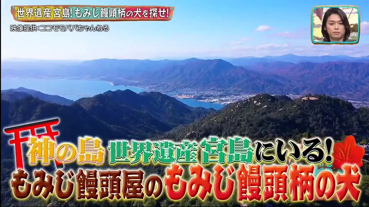 どうぶつピース！！ 2020年10月8日 日本全国に出没！スマホ動画見せてくださいで大発見SP - (edit 2/2)