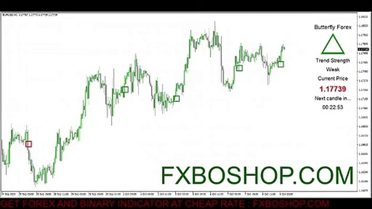 Butterfly forex System Indicator The Non-repainted Binary Options And Forex Indicators LIVE