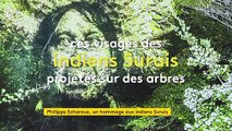 Les Indiens de Philippe Echaroux projetés sur les arbres du musée du Quai Branly