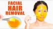 Facial Hair Removal Tips Naturally at Home! | Skin Care Tips
