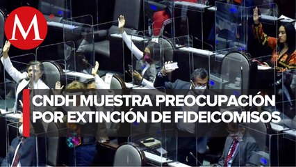 CNDH llama al Senado dar marcha atrás a desaparición de fideicomisos