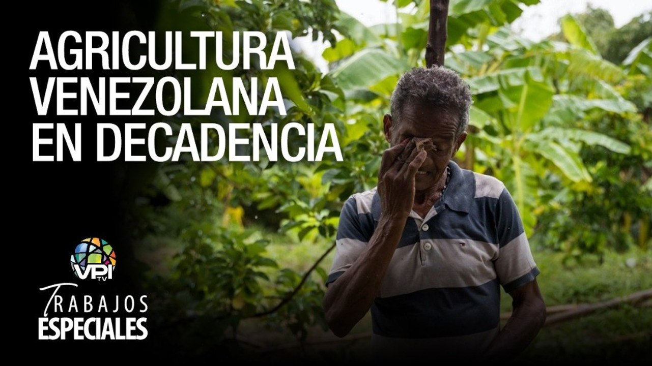 Agricultura venezolana en decadencia - Portuguesa - Especial VPItv