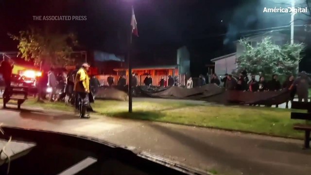 Elefante marino pasea por las calles y sorprende a los habitantes de una ciudad en Chile