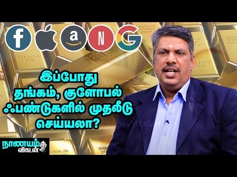 Gold & Global Fund வருமானம் எதிர்காலத்திலும் கிடைக்குமா? | Investment Ideas in Tamil