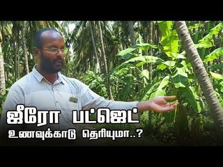 "ZERO BUDGET விவசாயம்" - வழி சொல்லும் பட்டதாரி விவசாயி!