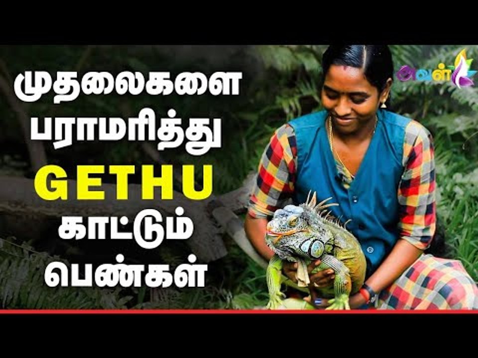 Amazing : ஆபத்தான விலங்குகளை அசால்ட்டாக வளர்க்கும் பெண்கள் | Aval Vikatan