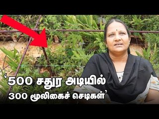 300 மூலிகைகள் ஒரே இடத்தில்..! சென்னையில் செழிக்கும் மாடித்தோட்டம்!