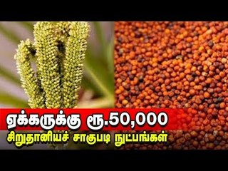 ஏக்கருக்கு ரூ.50,000 தரும் சிறுதானியச் சாகுபடி நுட்பங்கள்