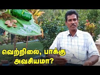 "வெற்றிலை, பாக்கு அவசியமானது" - இயற்கை ஆர்வலர் ஜெகதீசன்!