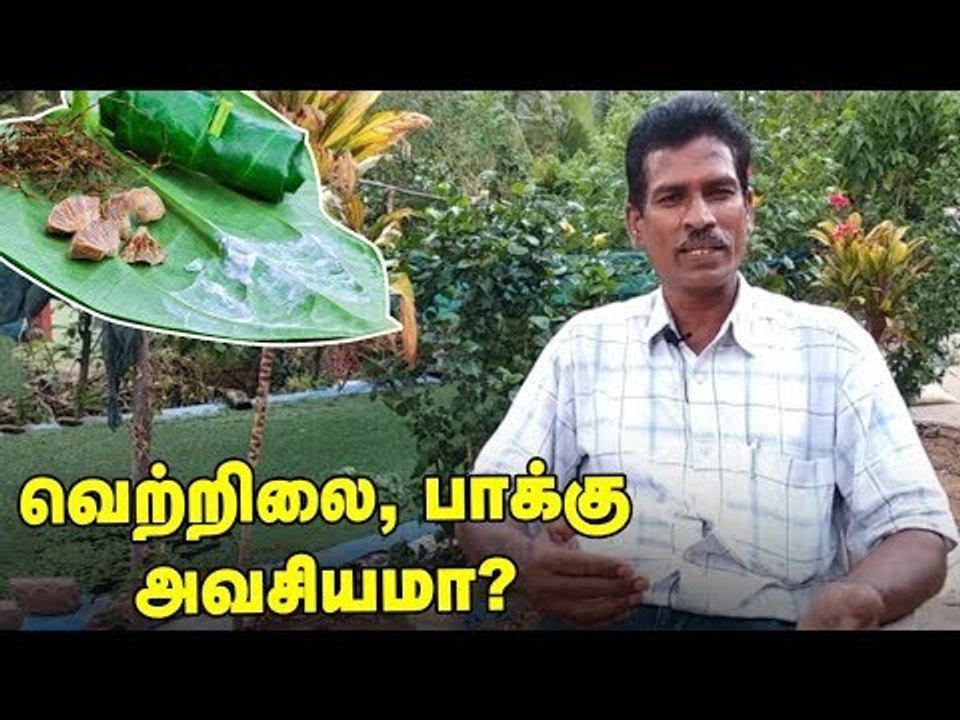 "வெற்றிலை, பாக்கு அவசியமானது" - இயற்கை ஆர்வலர் ஜெகதீசன்!