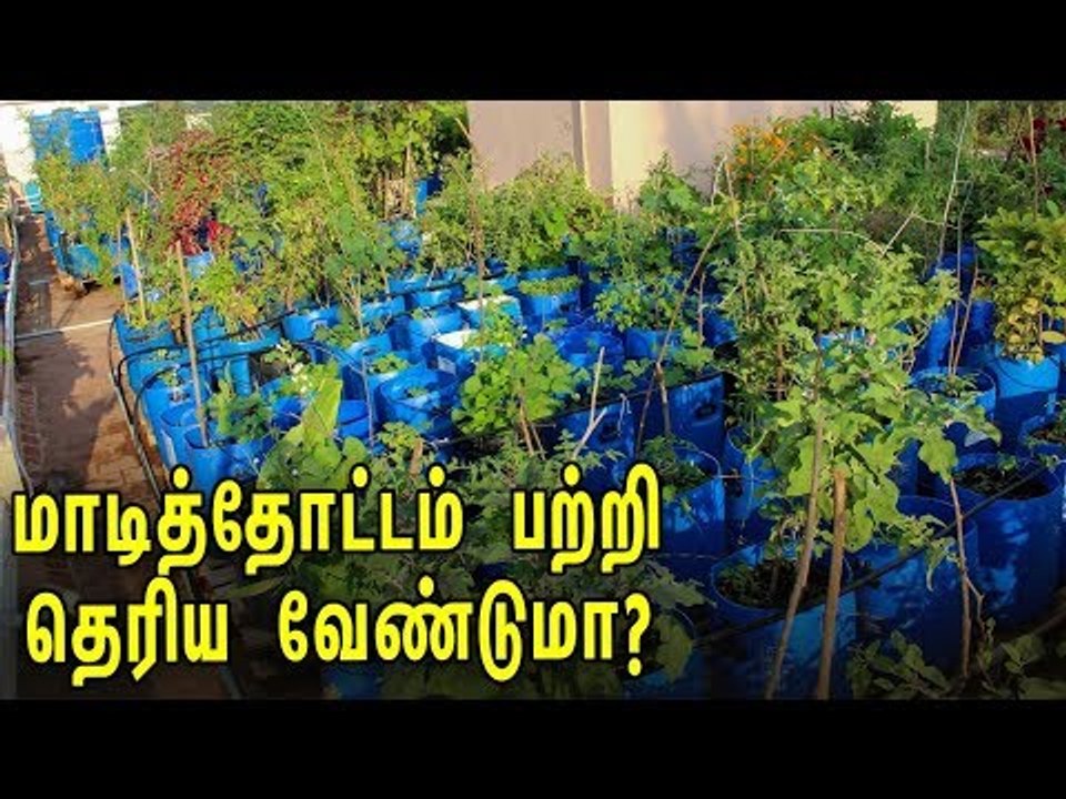 மாடித்தோட்டம்... செய்ய வேண்டியதும், செய்யக் கூடாதவையும்..!