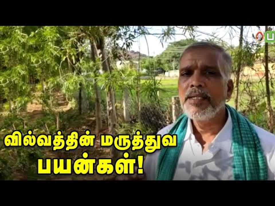 வயிற்றுப் பிரச்னைகளைத் தீர்க்கும் வில்வம்!