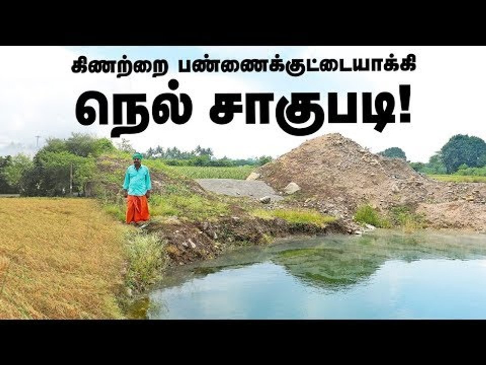 கிணற்றை பண்ணைக்குட்டையாக்கி லாபம் பார்த்த நெல் விவசாயி!