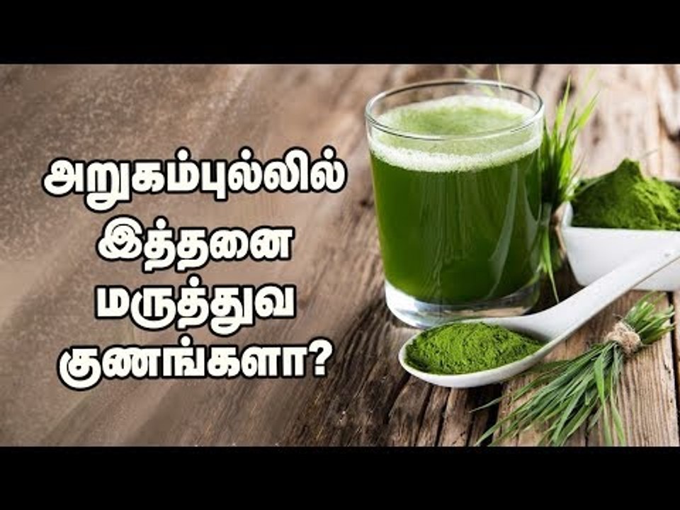 "அறுகம்புல்லை தெரியாம வாங்கினா ஆபத்து" - சித்த மருத்துவர் மைக்கேல் செயராசு!