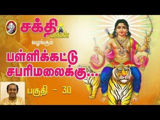 துணைக்கு வருவது யார்? | பள்ளிக்கட்டு சபரிமலைக்கு பகுதி 30