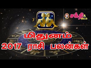 புத்தாண்டு பலன்கள்  2017 :  மிதுன ராசி